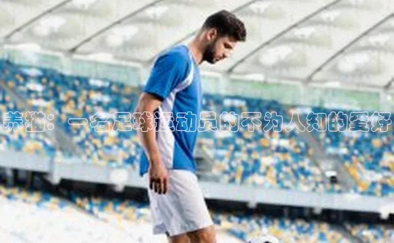 bd半岛·中国官方网站百度安全社区养猫：一名足球运动员的不为人知的爱好