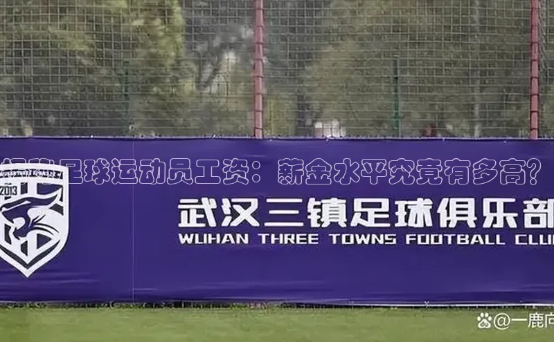 bob半岛·体育官方平台华扬联众揭秘足球运动员工资：薪金水平究竟有多高？