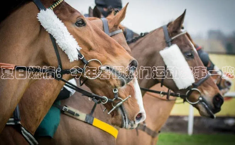 半岛·体育网站平台登陆猫眼夏日燃情：今年暑假热门运动赛事一览