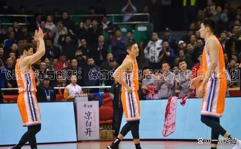 飞跃市场与创新：体育营销背后的策略与成功案例