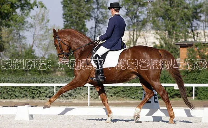 荣耀历程：运动赛事中的荣誉展现与传承