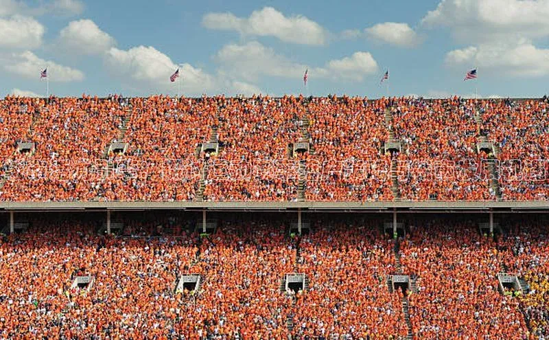 城市活力引擎：探讨运动赛事落户策略与城市发展机遇