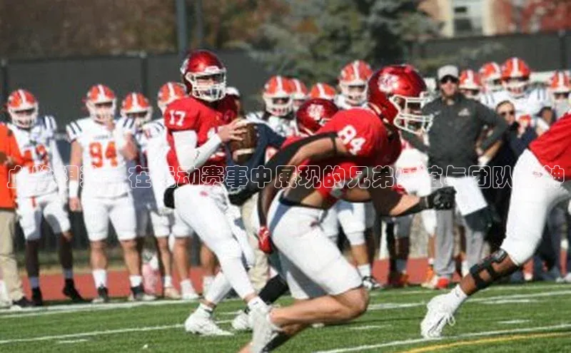 血脉相连：在运动赛事中展现的兄弟情谊与团队精神