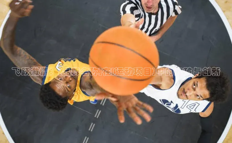 飞跃激情：[品牌名称]在[运动项目]中的突破与创新