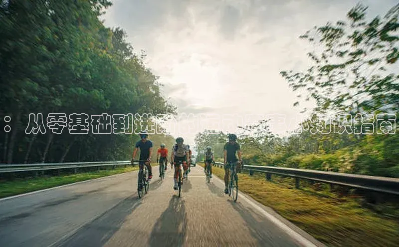 ：从零基础到进阶的运动赛事小知识指南