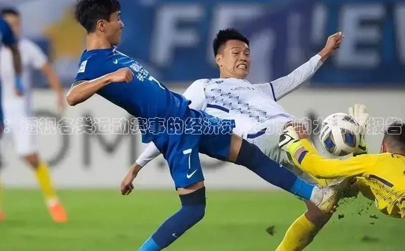 ：透视各类运动赛事的经济效益与影响力分析报告