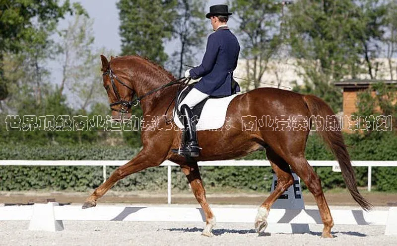 世界顶级商业运动赛事排行榜：商业竞赛的巅峰时刻