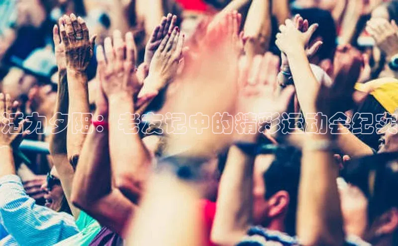 活力夕阳：老友记中的精彩运动会纪实