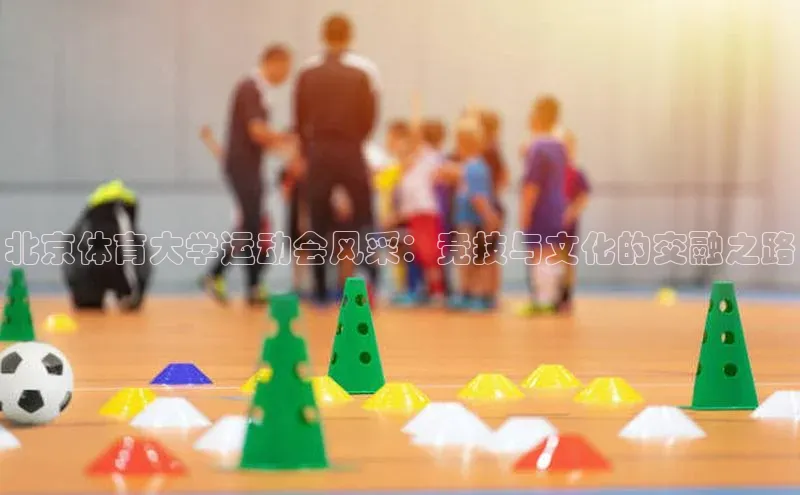 北京体育大学运动会风采：竞技与文化的交融之路