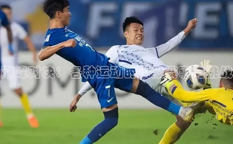 巅峰对决：各种运动的顶级赛事与挑战