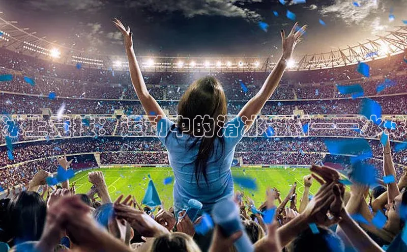 冰上竞技：运动中的滑冰器材——冰球