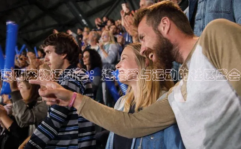 襄阳宠物运动会：连接爱与运动的社区盛会