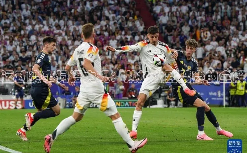 运动赛事词语大观：从加油到禁赛的全解