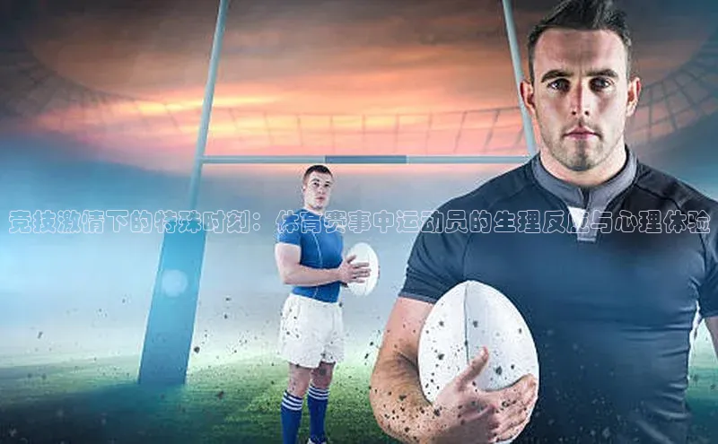 半岛官网入口网页版