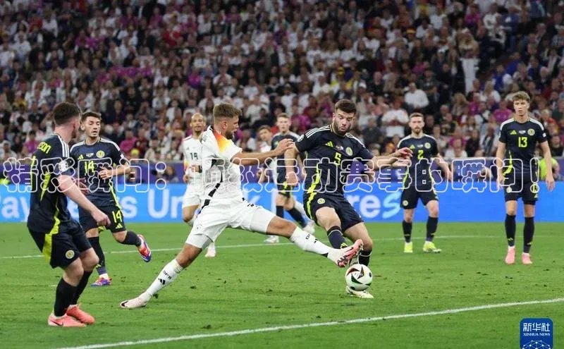 BoB半岛·体育网站