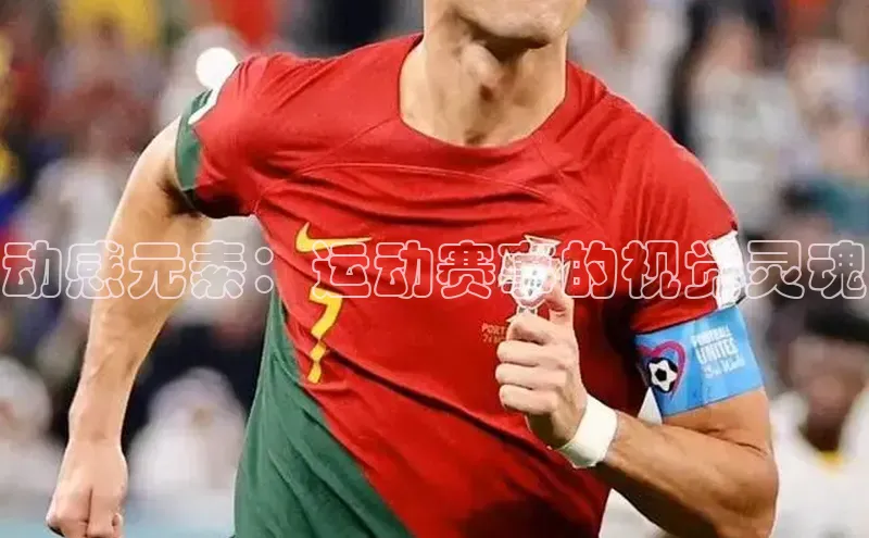 半岛·BOB官方网站