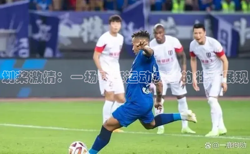 BOB半岛官方网站入口