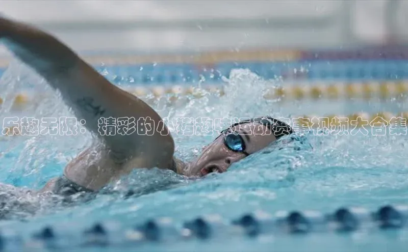 乐趣无限：精彩的小猪趣味运动赛事视频大合集